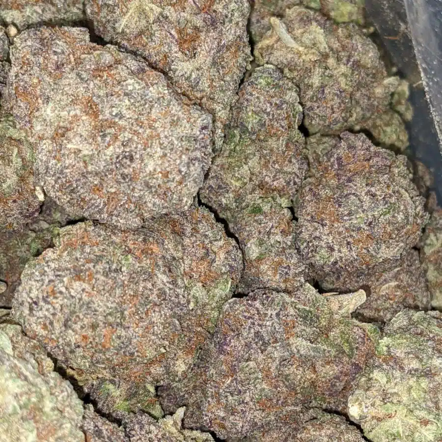 Purple god dod 7 I Purple God - *Deal Of The Day*