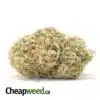 $69 Oz - Red Congolese