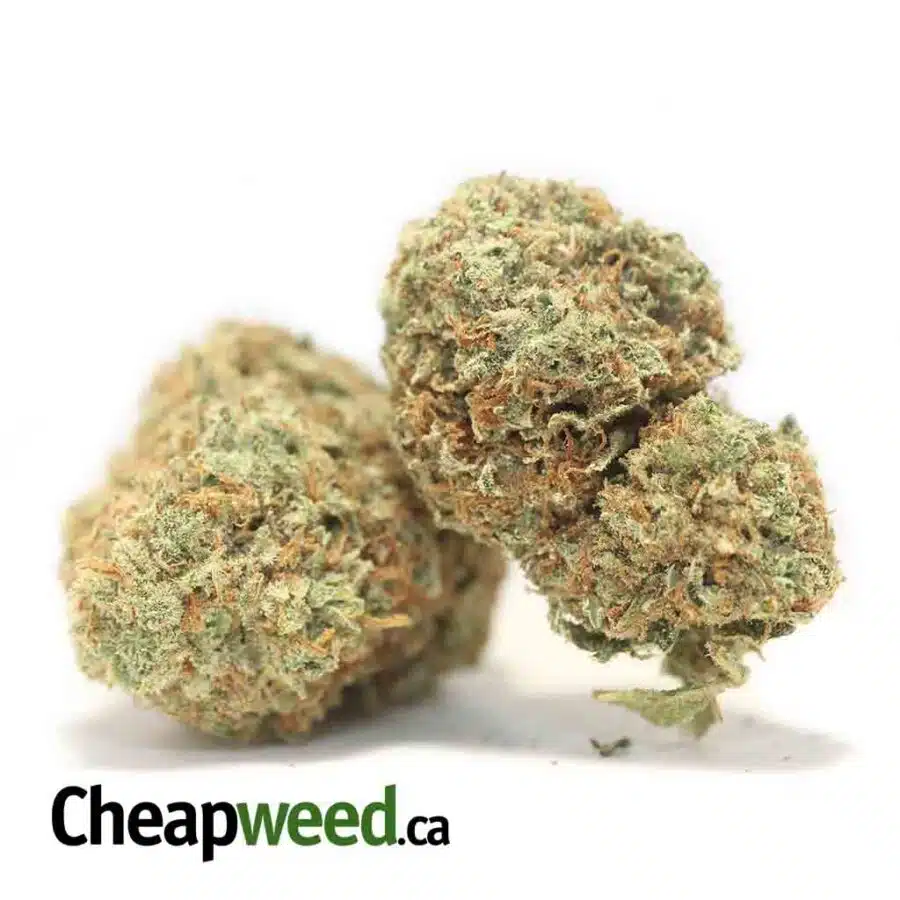 Alternative view of $69 Oz - Red Congolese
