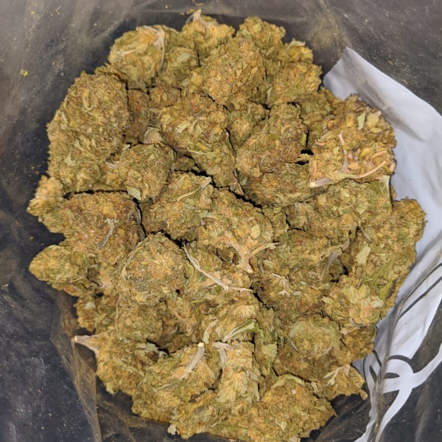 THUNDERFUCK BS TO BUDGET NUKEN 4 I Budget Nuken