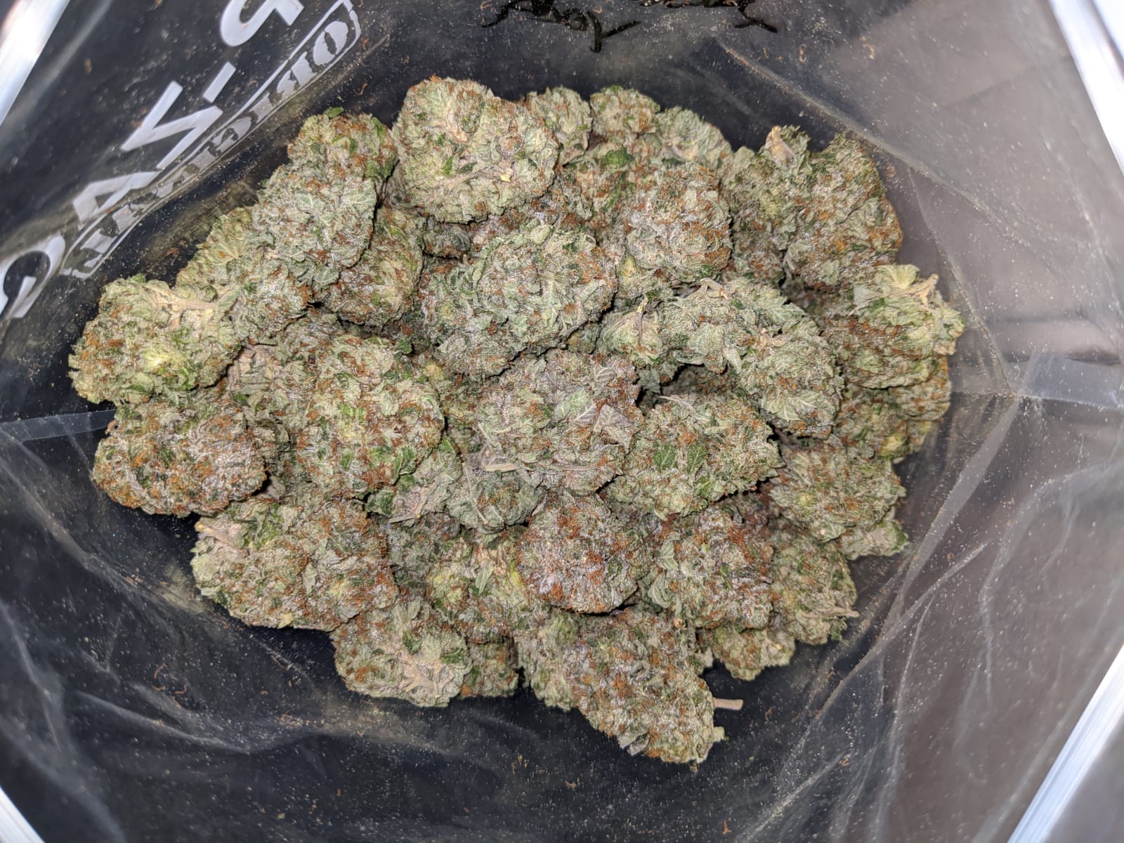 Master Yoda - Image 3