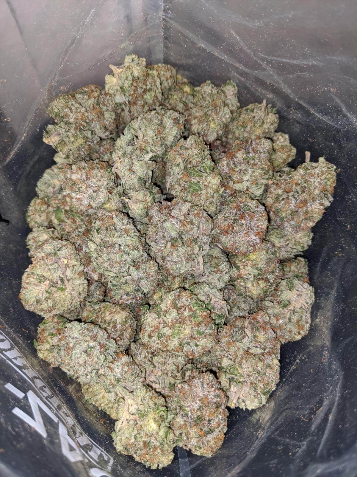 Master Yoda