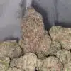 Watermelon Cookies