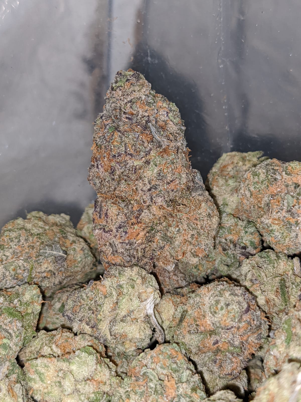 Watermelon Cookies - Image 3