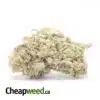 Zombie Kush Xmas Special