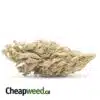 Zombie Kush - *Deal of the Day*