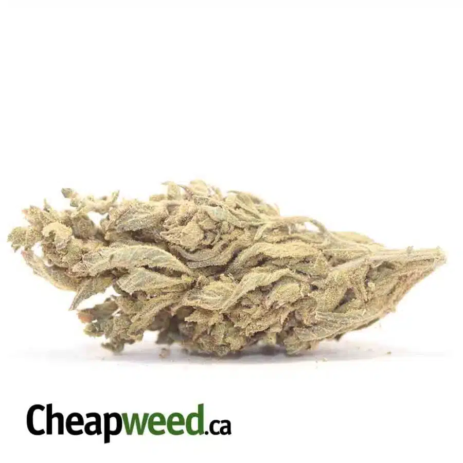 Zombie Kush - *Deal of the Day*