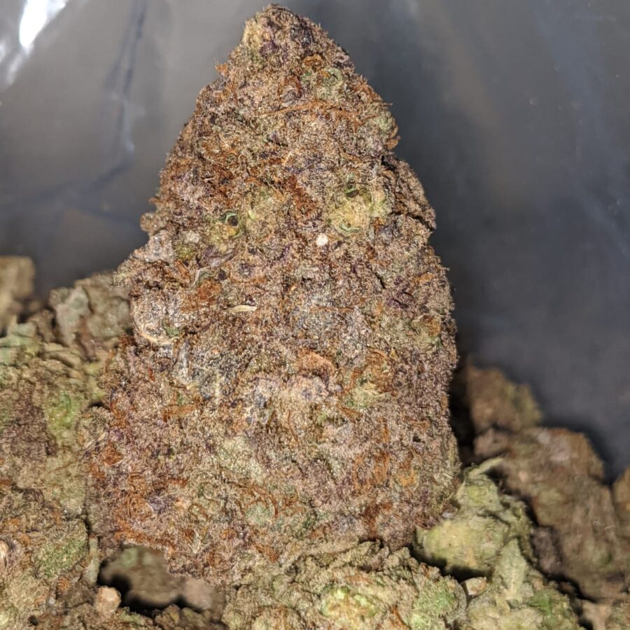 black durban dod 1 I Black Durban - *Deal Of The Day*