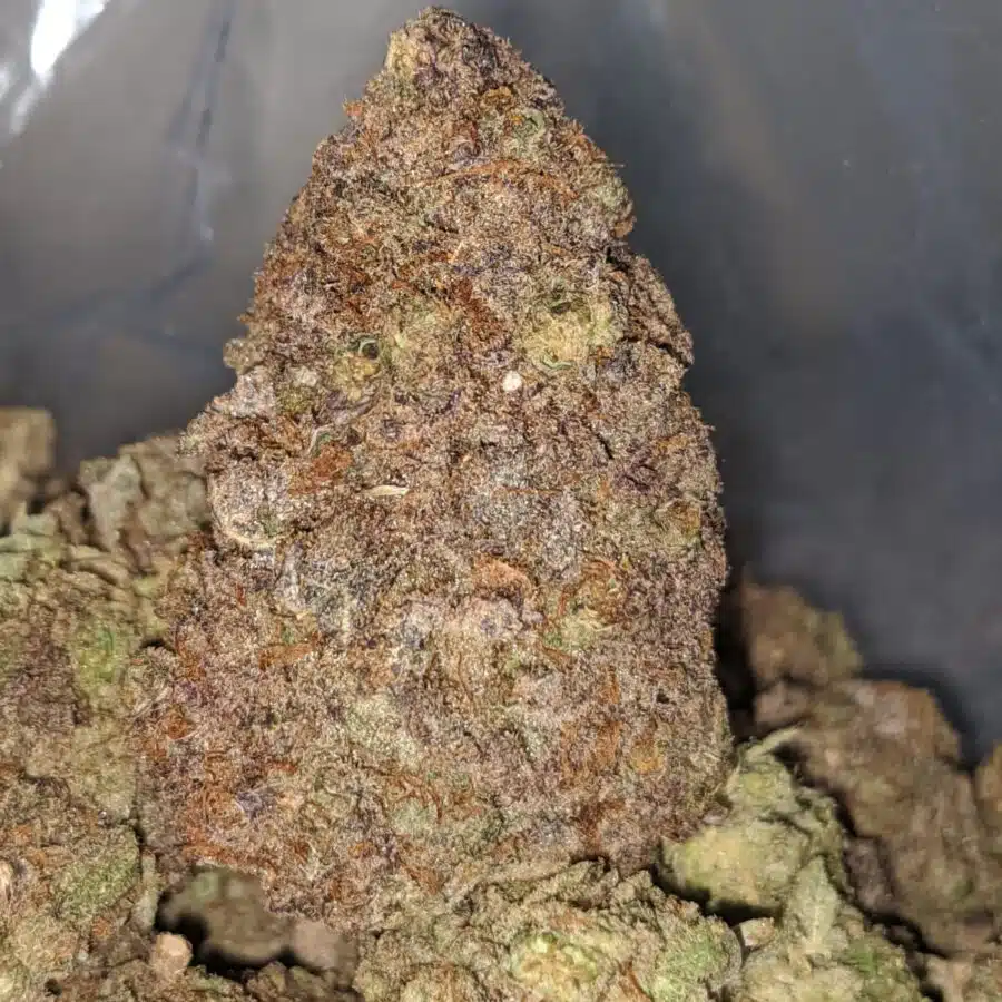 black durban dod 1 I Black Durban - *Deal Of The Day*