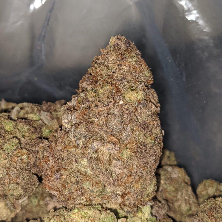 black durban dod 2 I Black Durban - *Deal Of The Day*