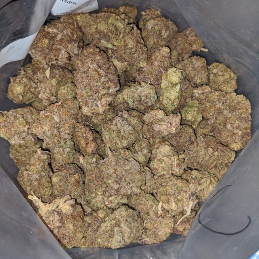 black durban dod 4 I Black Durban - *Deal Of The Day*