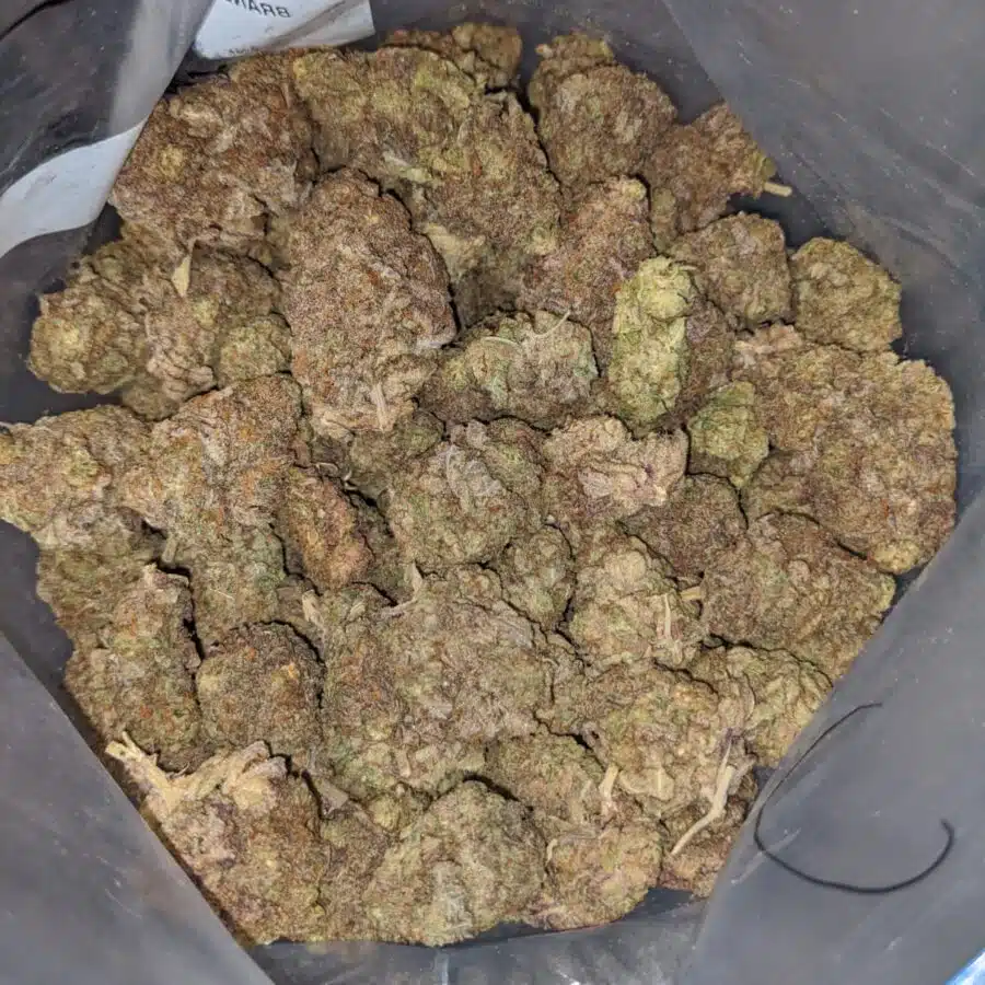 black durban dod 4 I Black Durban - *Deal Of The Day*