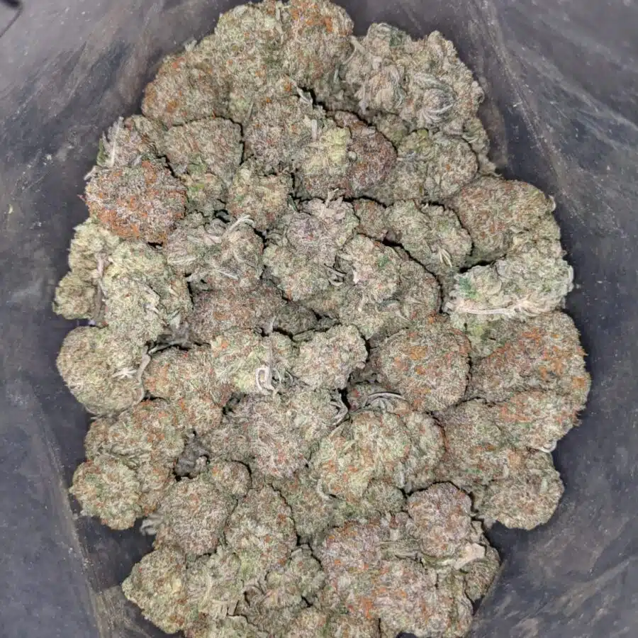 Chocolate Sundae