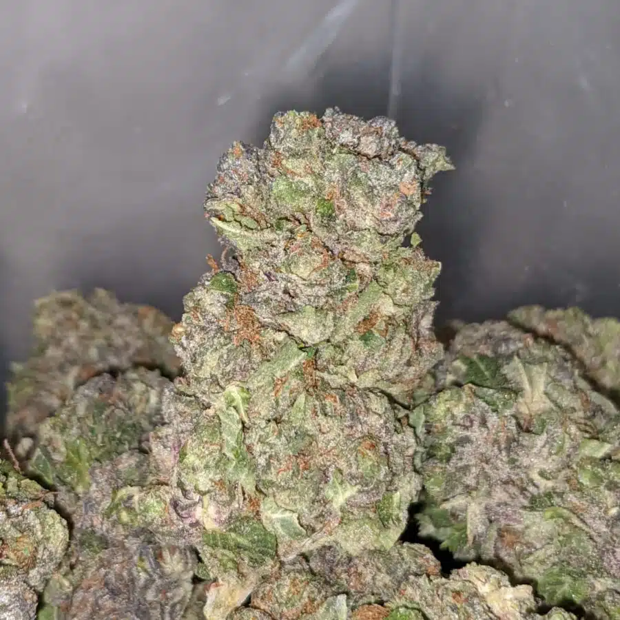 dragon breathe dod 2 I Dragon Breath - *Deal Of The Day*