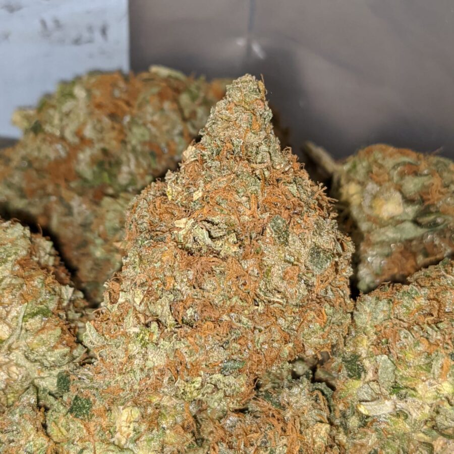general og kush 1 I General OG Kush