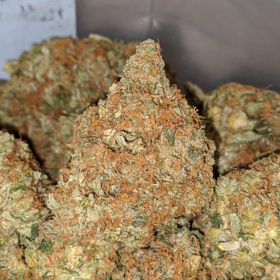 general og kush 2 I General OG Kush