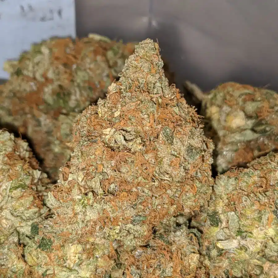 general og kush 2 I General OG Kush