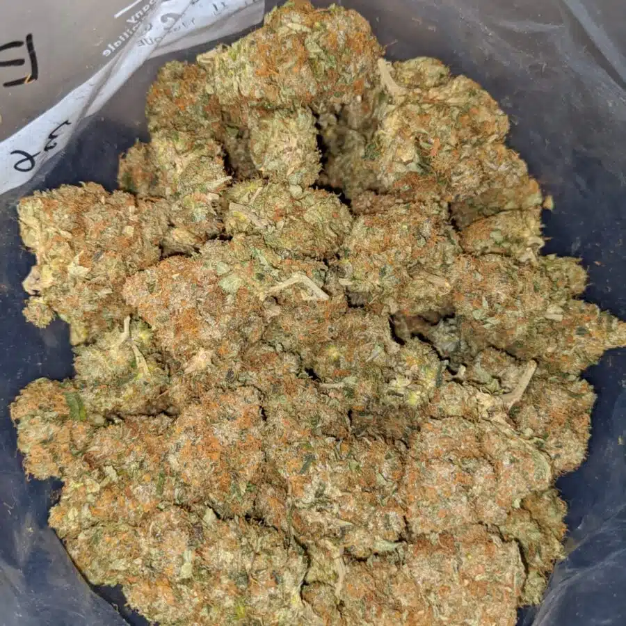 general og kush 3 I General OG Kush