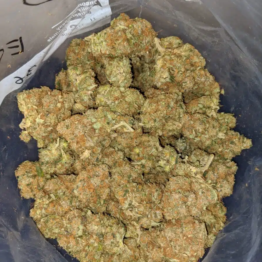 general og kush 4 I General OG Kush