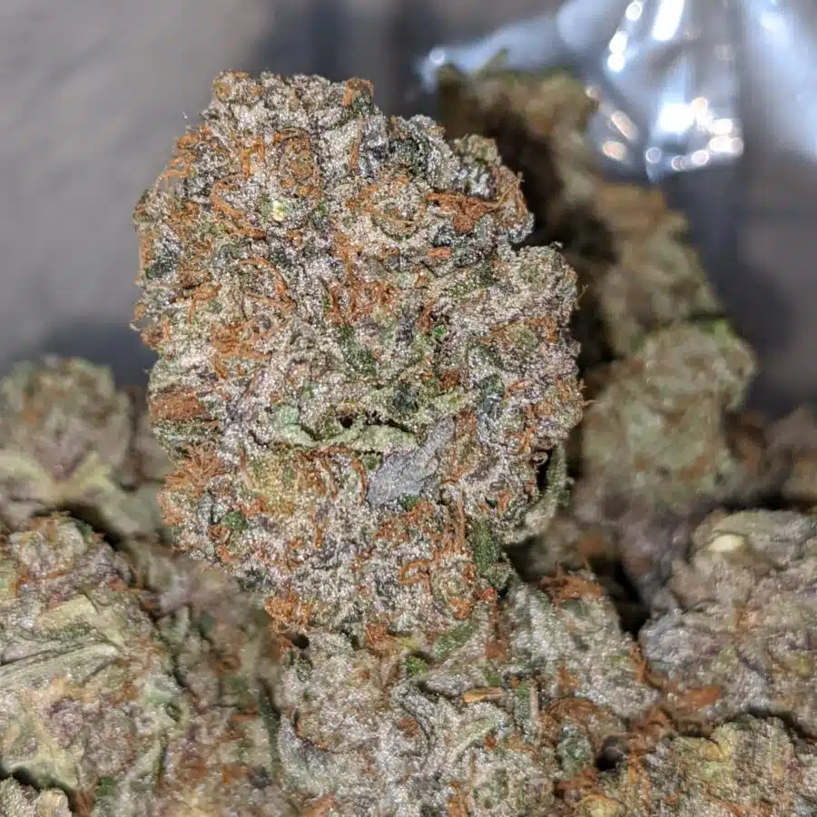 gucci pink aaa 2 I Tony's Purple Cadillac
