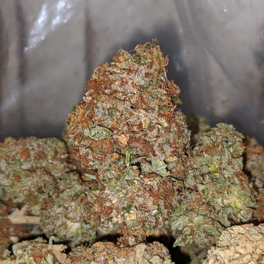 kosher bulk special 1 I Kosher Bulk Special