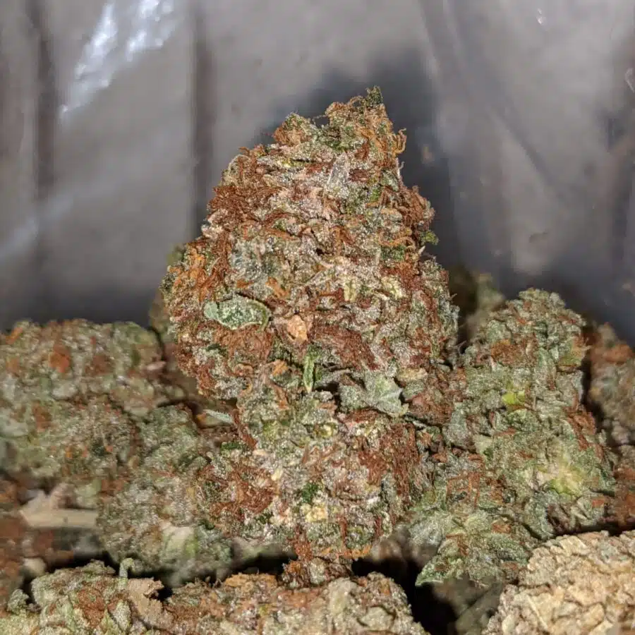 kosher bulk special 2 I Kosher Bulk Special