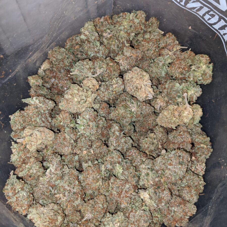 kosher bulk special 3 I Kosher Bulk Special