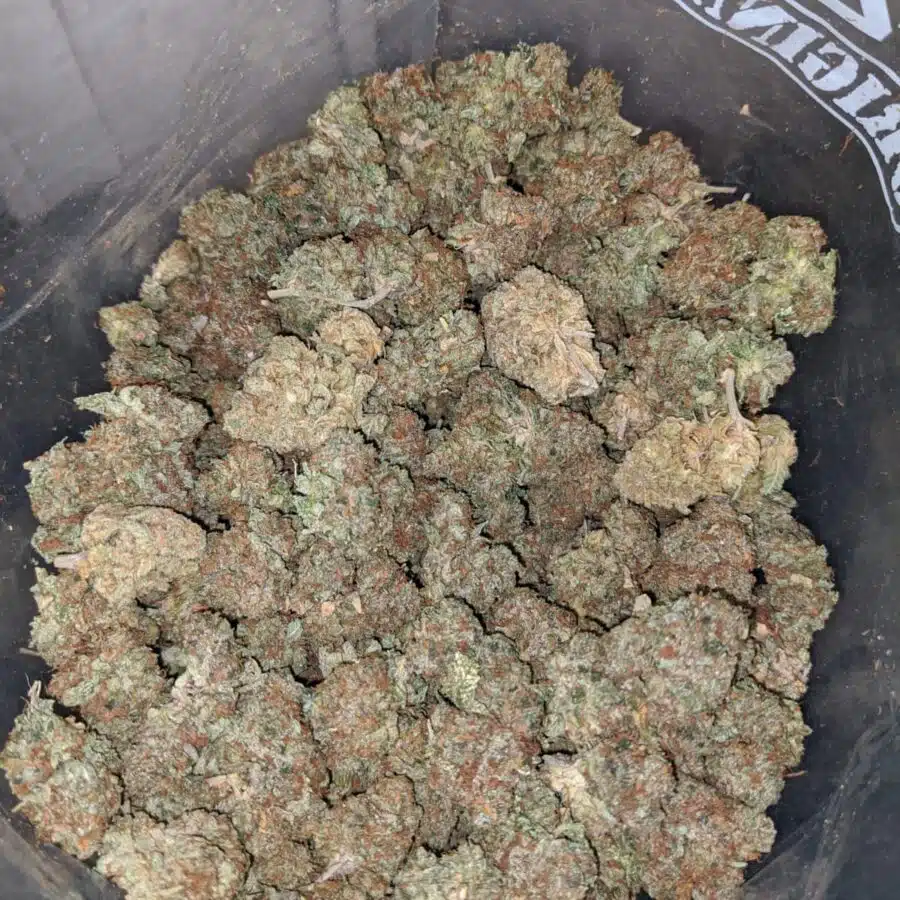kosher bulk special 4 I Kosher Bulk Special