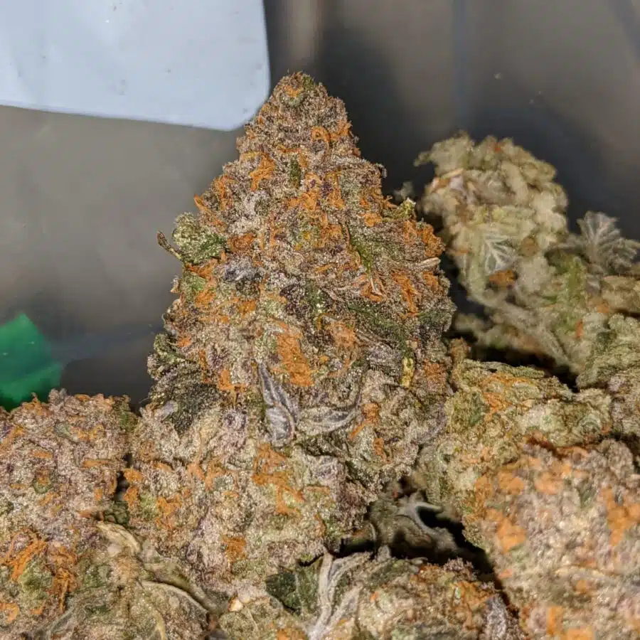 orange kool aid 1 I Orange Kool Aid
