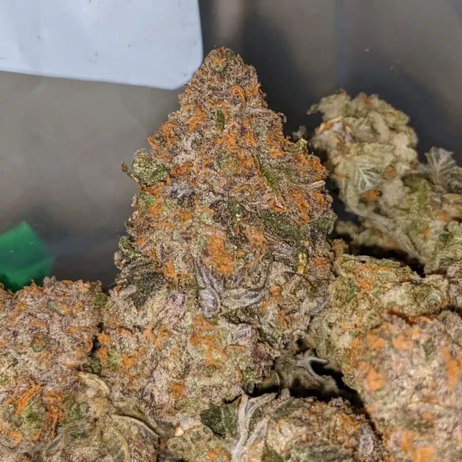 orange kool aid 2 I Orange Kool Aid