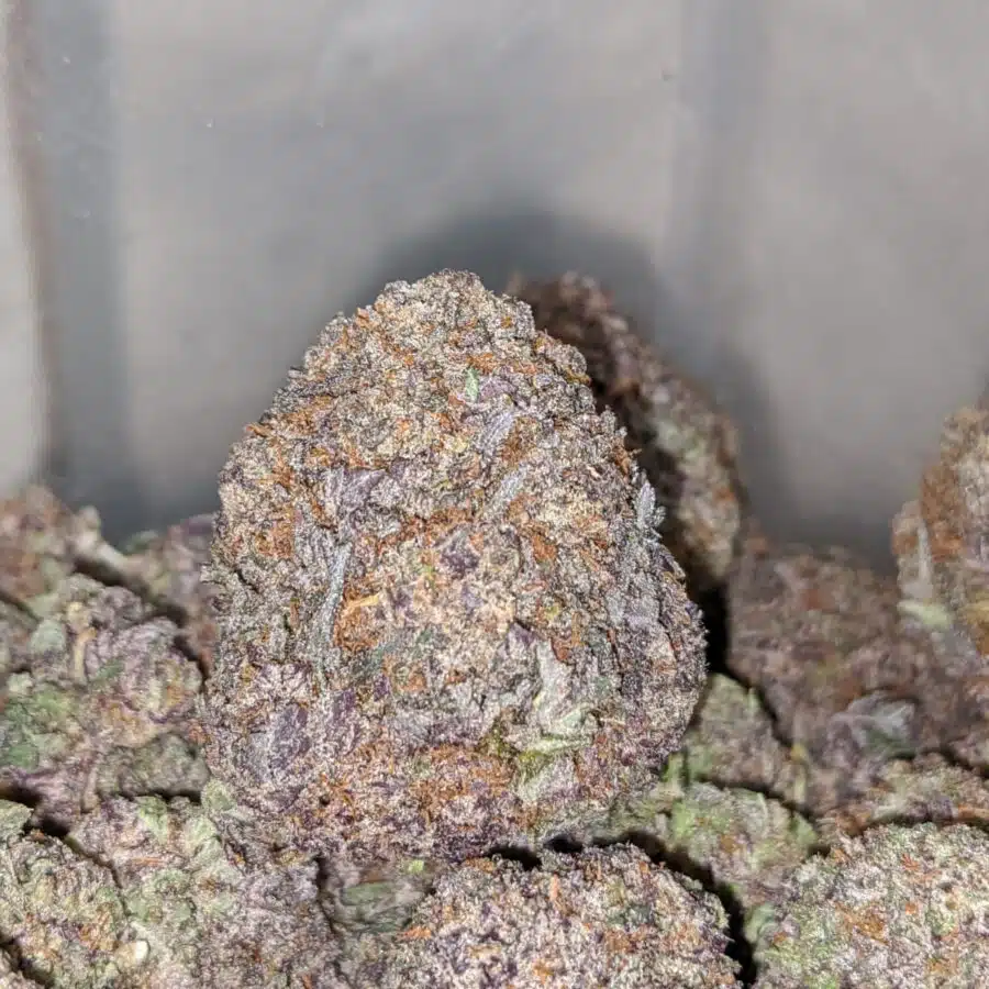purple cookies 1 I $69 oz - Purple Cookies
