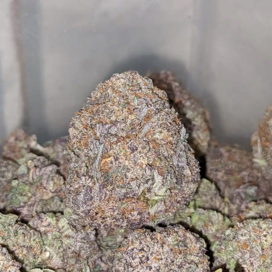 purple cookies 2 I $69 oz - Purple Cookies