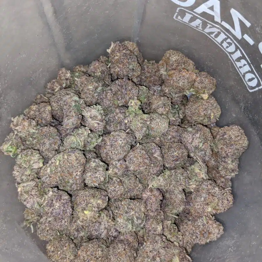 purple cookies 3 I $69 oz - Purple Cookies