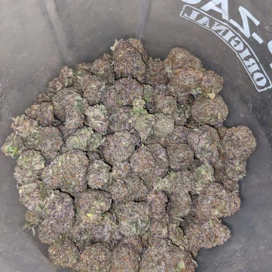 purple cookies 4 I $69 oz - Purple Cookies