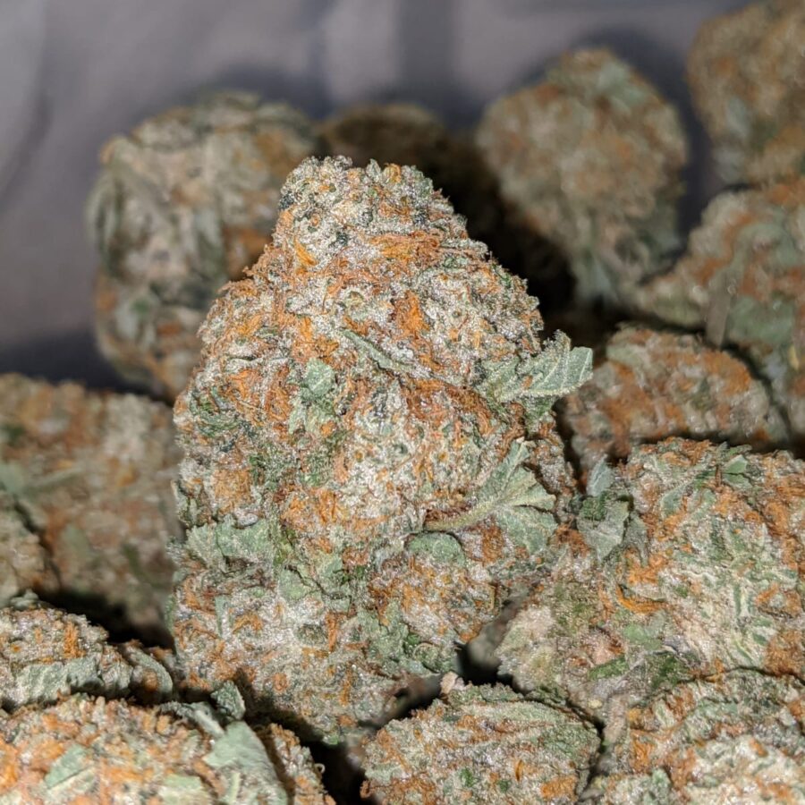 tonys cherry pie 1 I Tony's Cherry Pie
