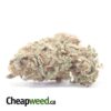 101 Headband Bulk Special