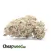 101 Headband Bulk Special