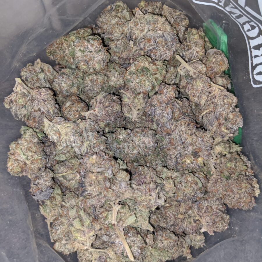 9LB HAMMER 1 I 9LB Hammer - Deal of the Day
