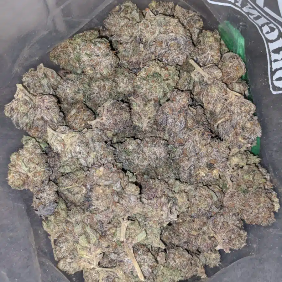 9LB HAMMER 1 I 9LB Hammer - Deal of the Day