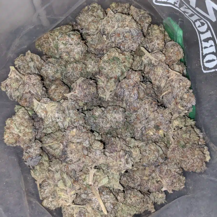 9LB HAMMER 4 I 9LB Hammer - Deal of the Day