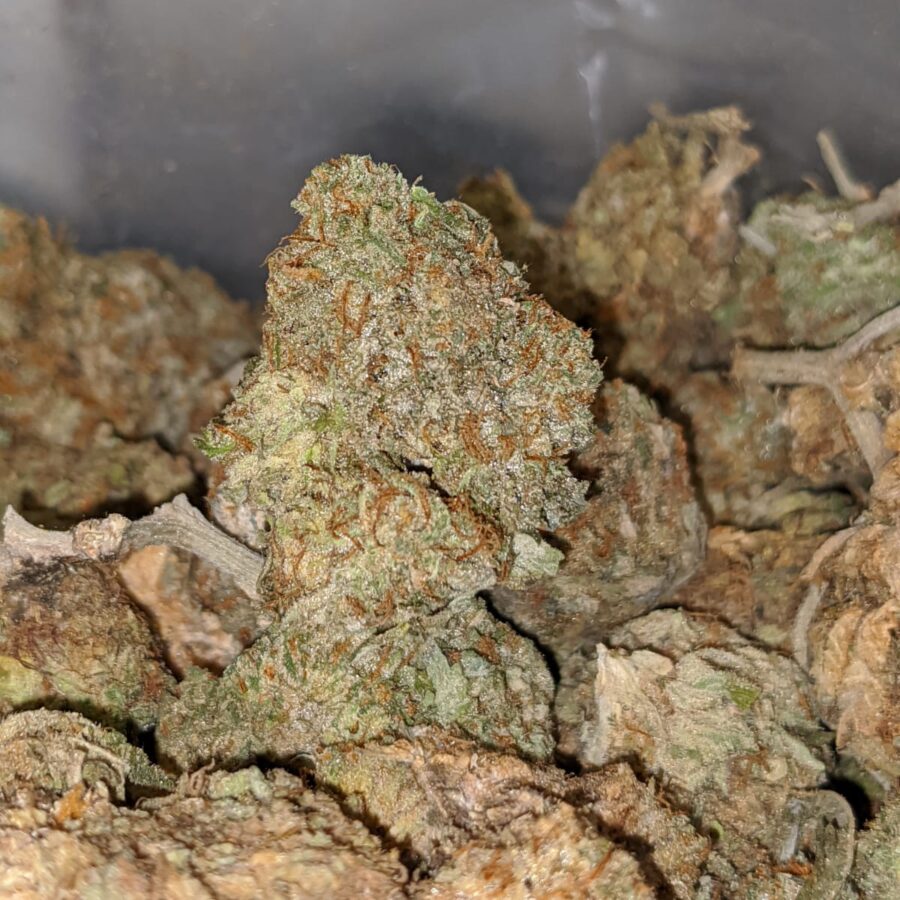 AA CHEESE BS 1 I Green Cheese