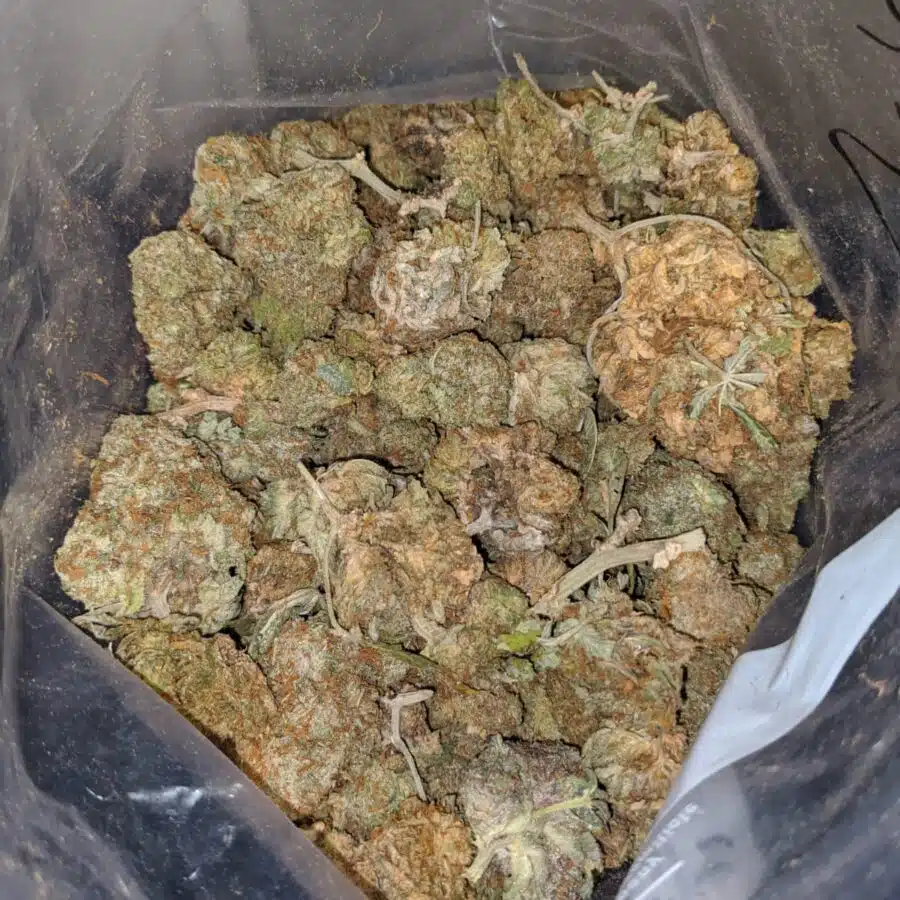 Green Cheese