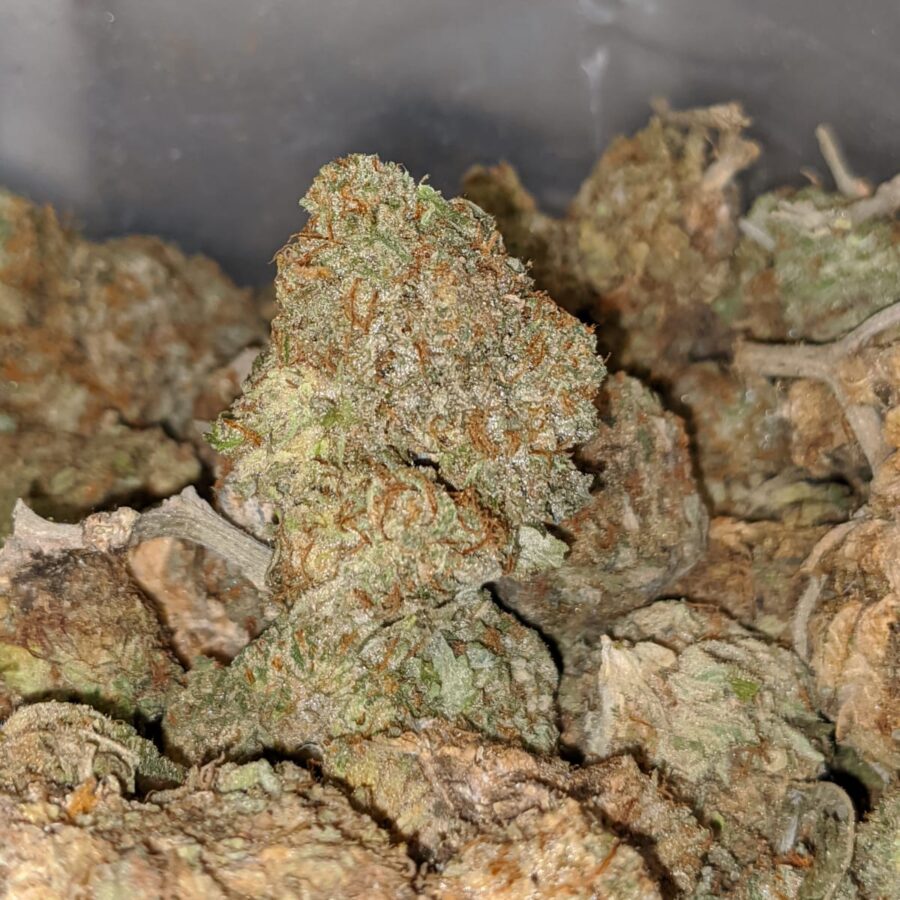 AA CHEESE BS 3 I Green Cheese