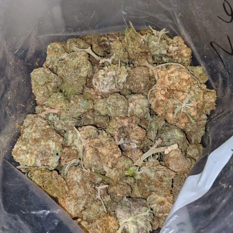 Alternative view of Green Cheese