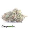 Blueberry - *Deal Of The Day*