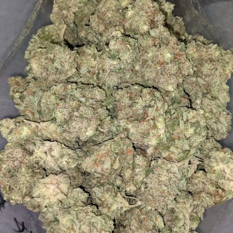 Blue dream dod 1 I Blue Dream - *Deal Of The Day*
