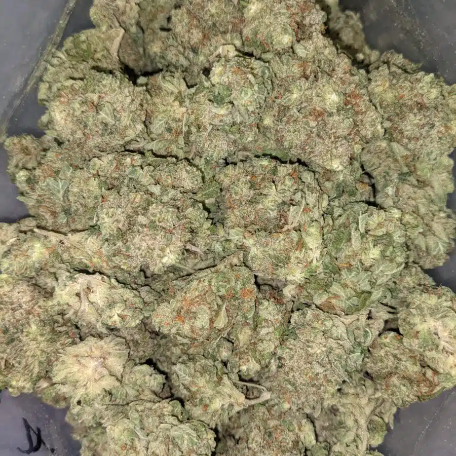 Blue dream dod 3 I Blue Dream - *Deal Of The Day*