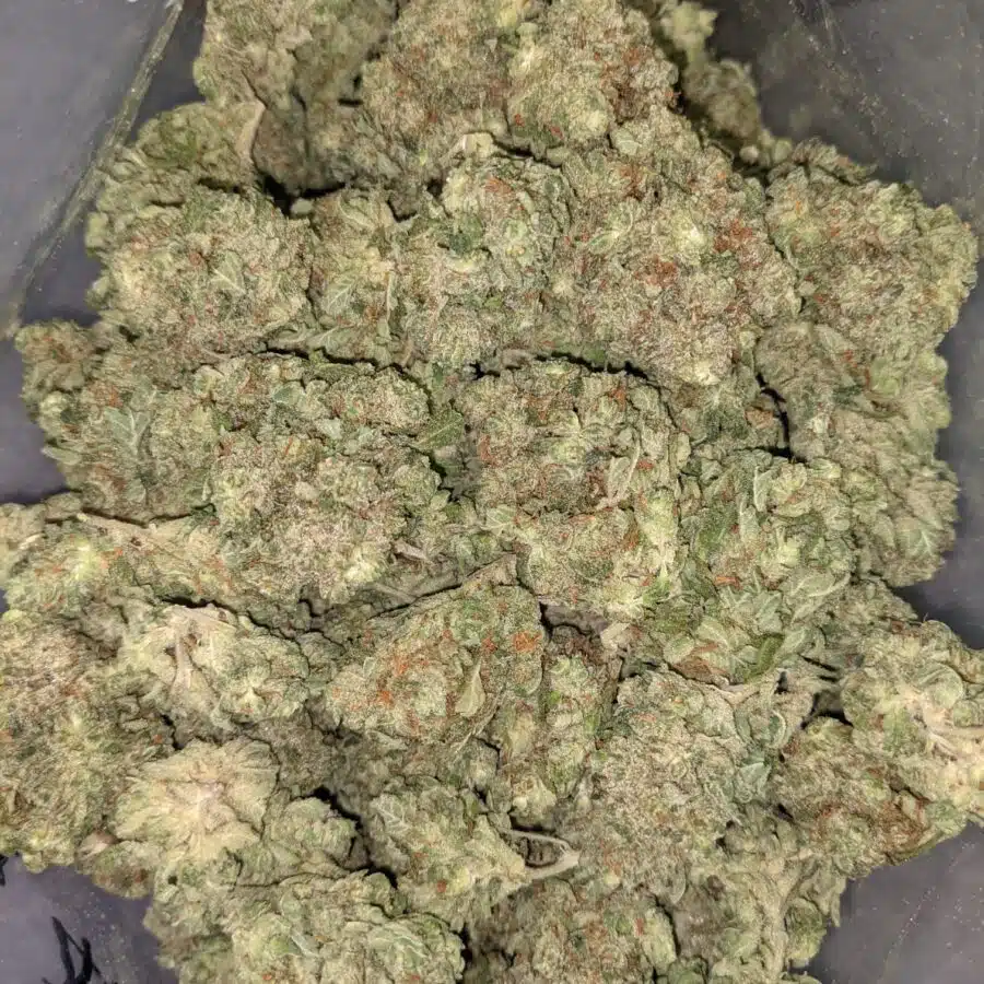 Blue dream dod 5 I Blue Dream - *Deal Of The Day*