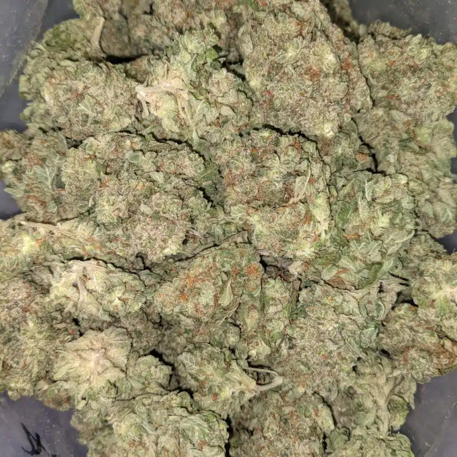 Blue dream dod 6 I Blue Dream - *Deal Of The Day*