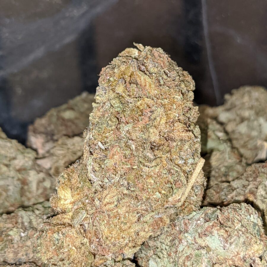 CANDY KUSH BS 1 I Candy Kush Bulk Special